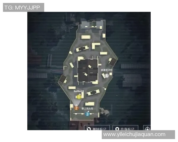 和平精英焦点V5团队协作策略与战术分析探讨